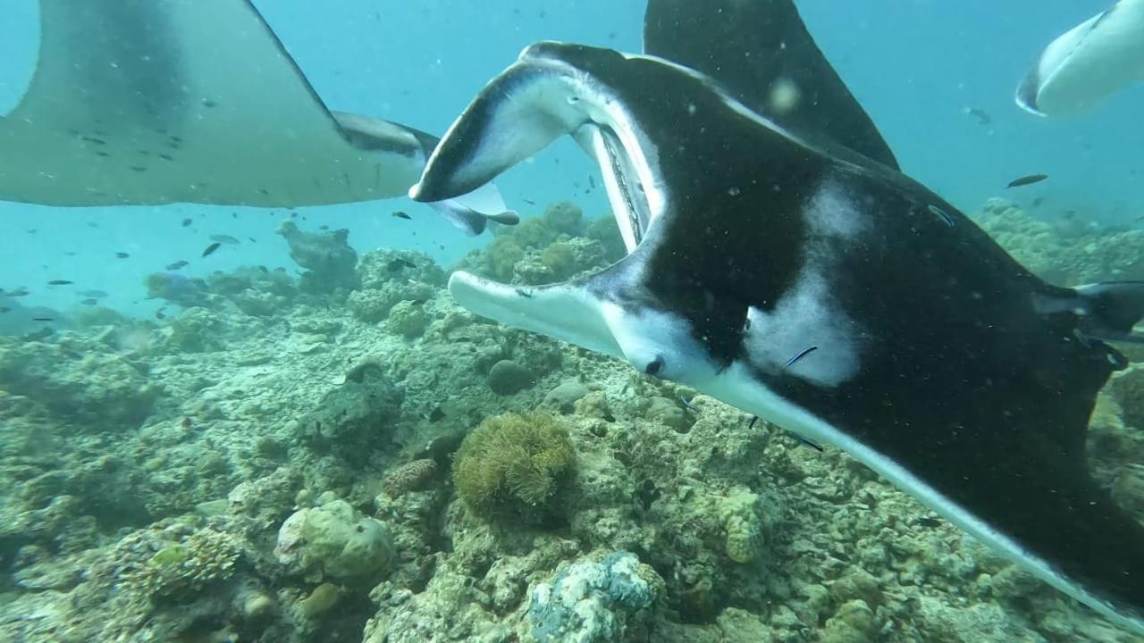Paguro Beach Inn Ukulhas Dış mekan fotoğraf